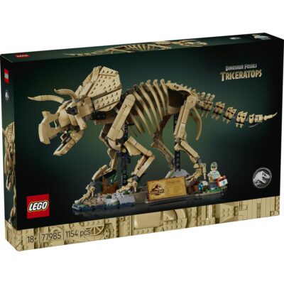 Fosile de Dinozaur: Triceratops