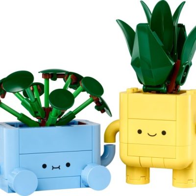 Plante Fericite