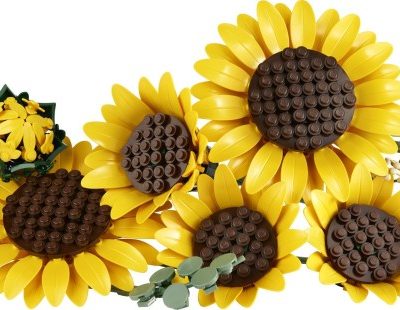 Buchet de Floarea Soarelui