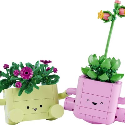 Plante Legănătoare