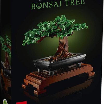 Bonsai