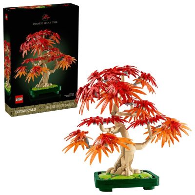 Bonsai de Artar Japonez Rosu