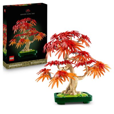 Bonsai de Artar Japonez Rosu