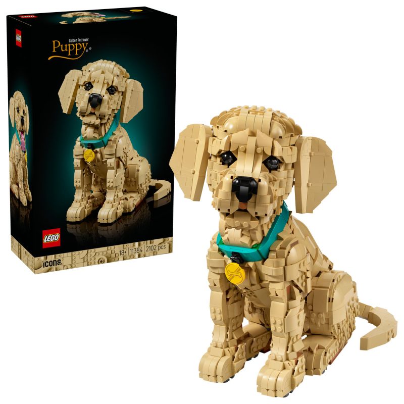 Cățeluș Golden Retriever