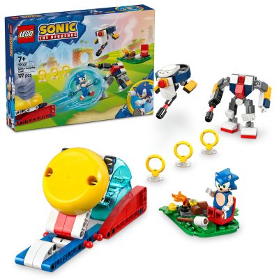 Înfruntare la Focul de Tabara Al Lui Sonic