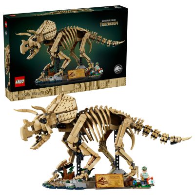 Fosile de Dinozaur: Triceratops
